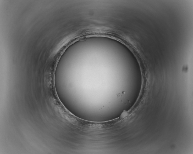 X0000115631211200911101430