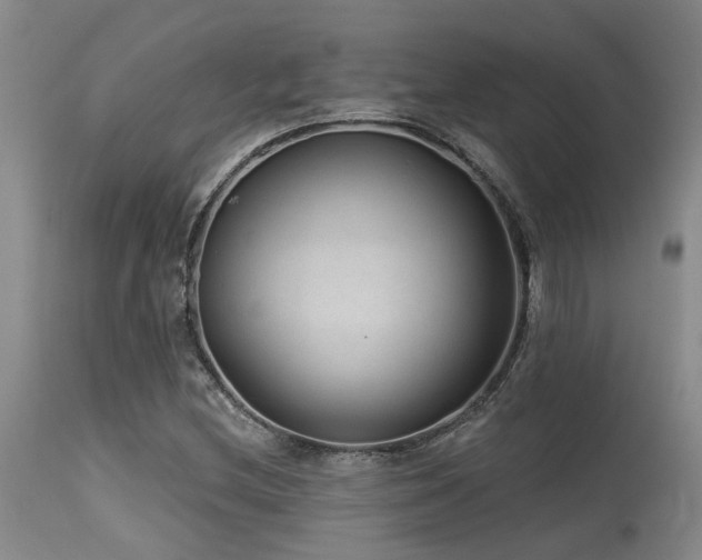 X0000115631212200911101430