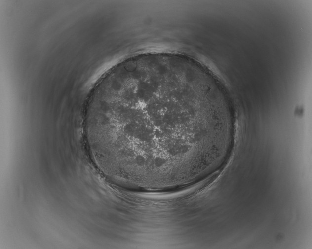 X0000115631213200911101430
