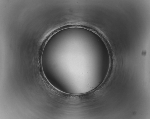 X0000115631215200911101430