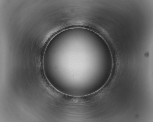 X0000115631218200911101430