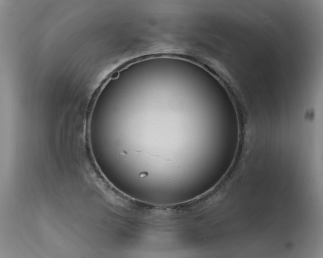 X0000115631220200911101430