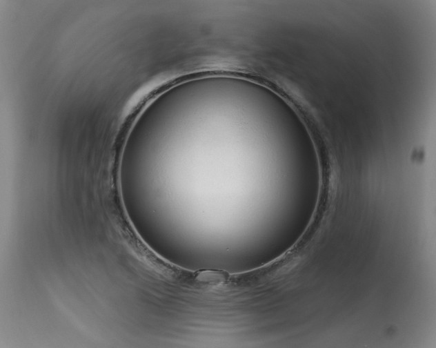 X0000115631222200911101430