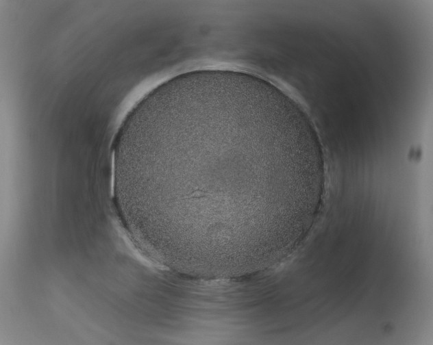 X0000115631223200911101430