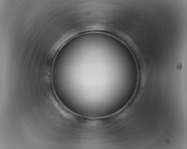 X0000115631225200911101430