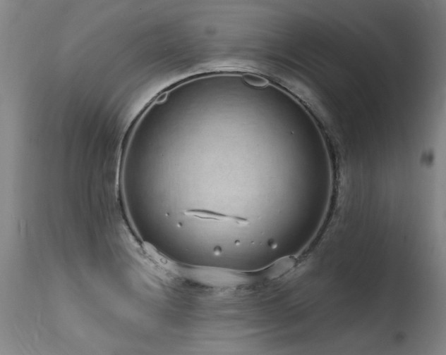 X0000115631228200911101430