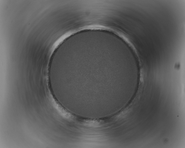 X0000115631229200911101430