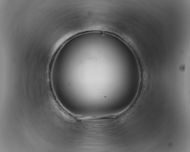 X0000115631230200911101430