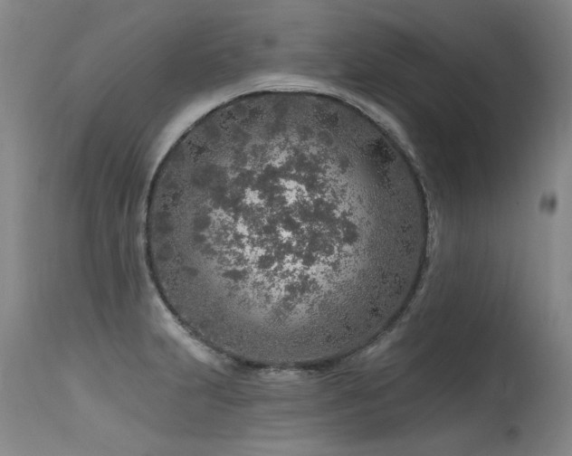 X0000115631231200911101430