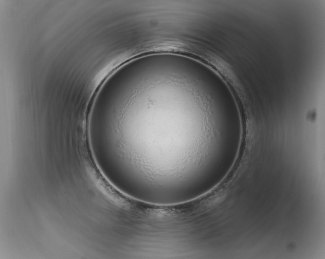 X0000115631234200911101430