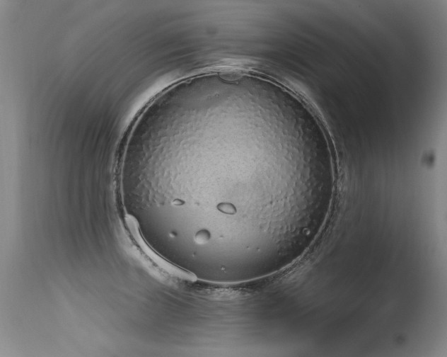 X0000115631235200911101430