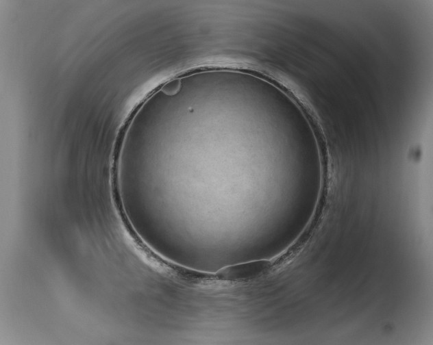 X0000115631237200911101430
