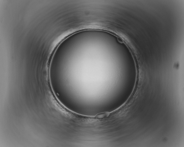 X0000115631238200911101430