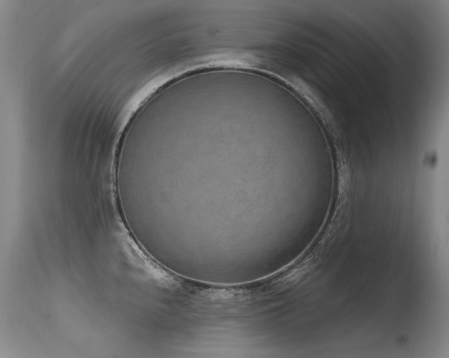 X0000115631240200911101430