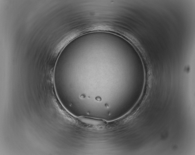 X0000115631241200911101430