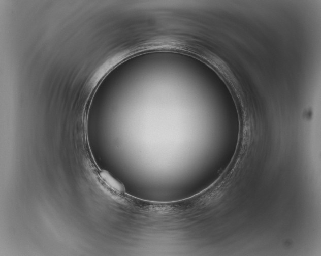X0000115631242200911101430