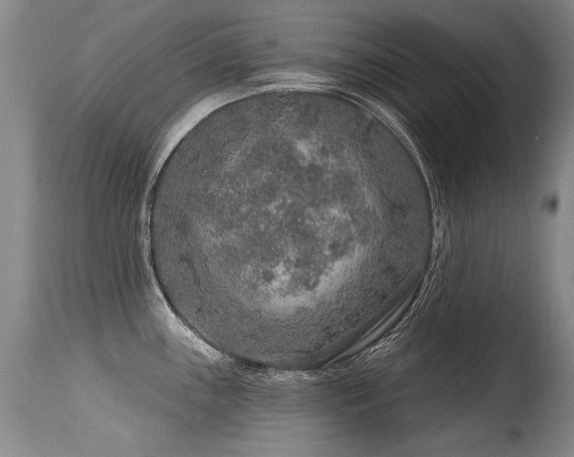 X0000115631243200911101430