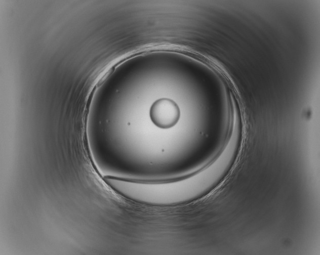 X0000115631244200911101430