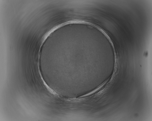 X0000115631245200911101430