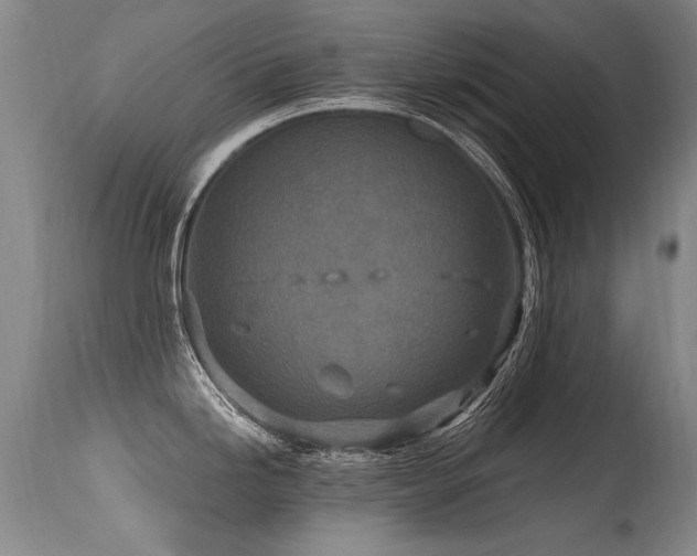X0000115631246200911101430