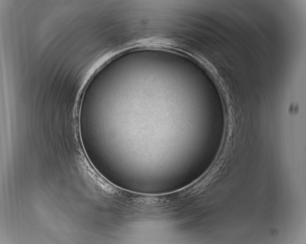 X0000115631248200911101430