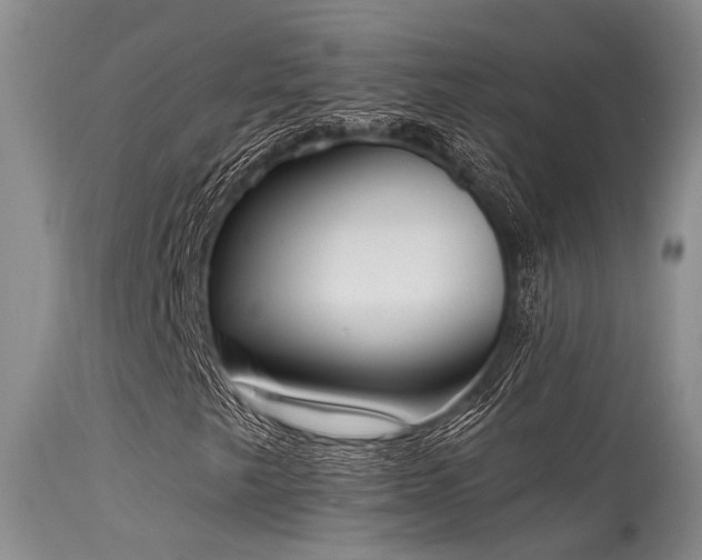 X0000115631249200911101430