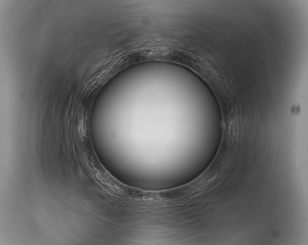 X0000115631250200911101430