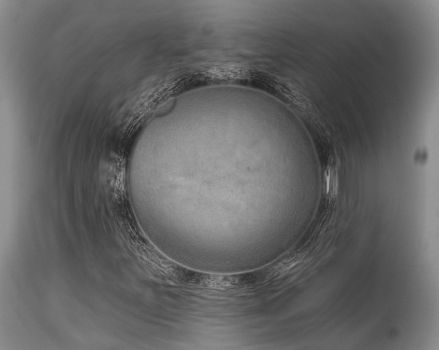 X0000115631251200911101430