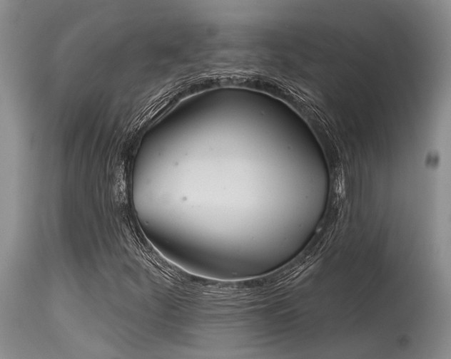 X0000115631252200911101430