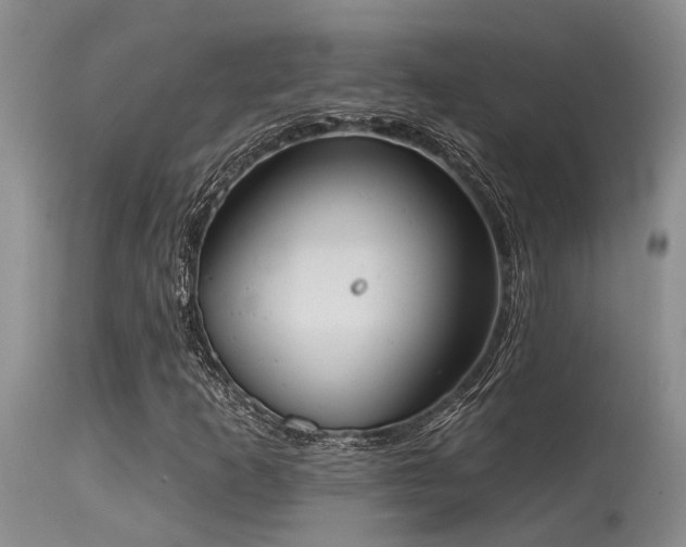 X0000115631253200911101429
