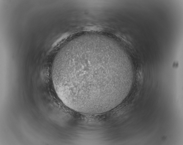 X0000115631254200911101429