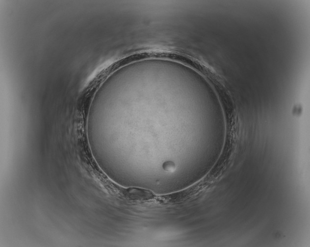 X0000115631255200911101429