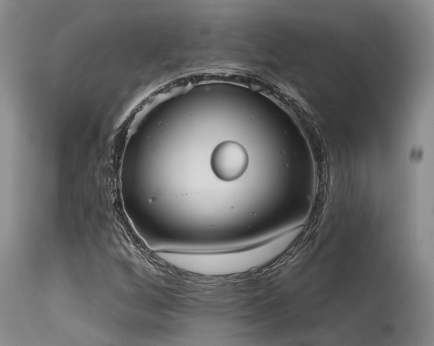 X0000115631256200911101429