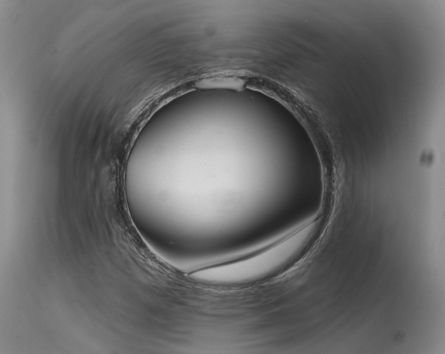 X0000115631257200911101429