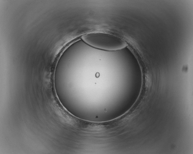 X0000115631260200911101429