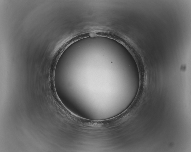 X0000115631261200911101429