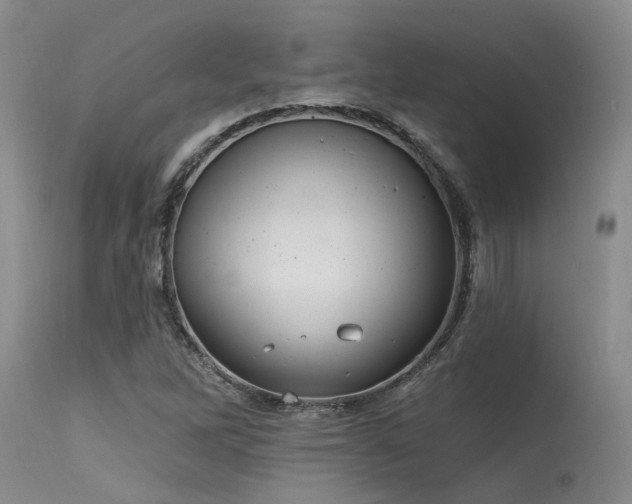 X0000115631262200911101429