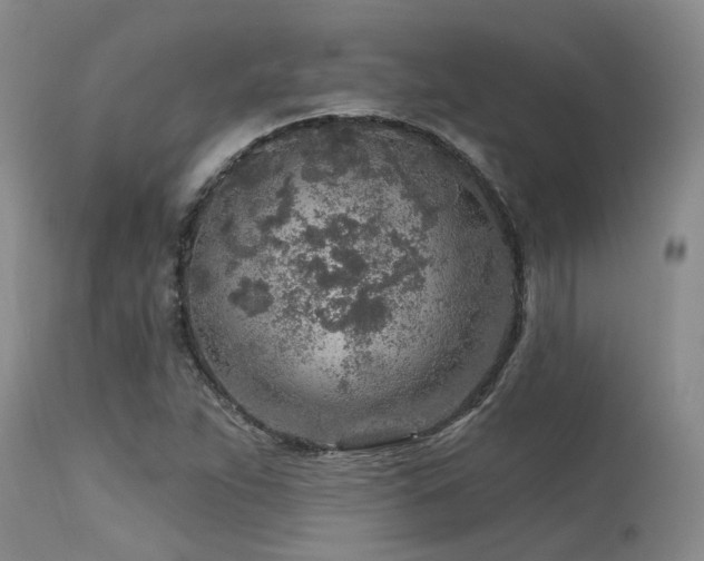X0000115631263200911101429