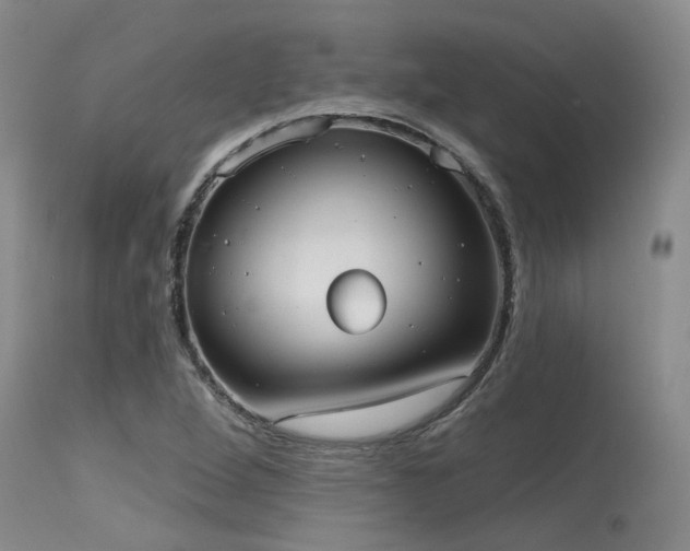 X0000115631264200911101429