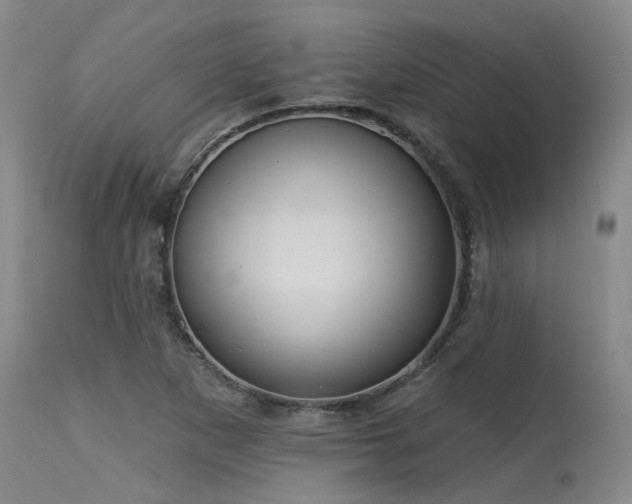 X0000115631265200911101429