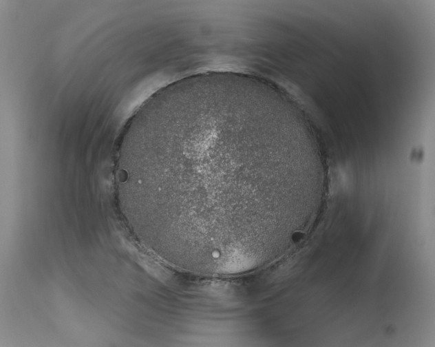 X0000115631266200911101429