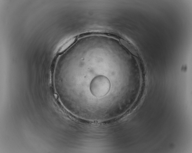 X0000115631267200911101429