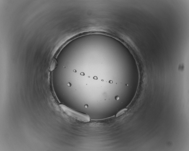 X0000115631268200911101429