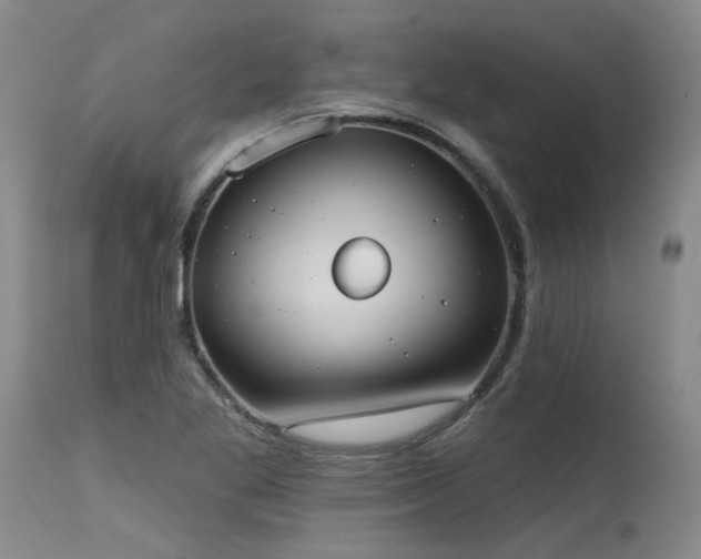 X0000115631269200911101429