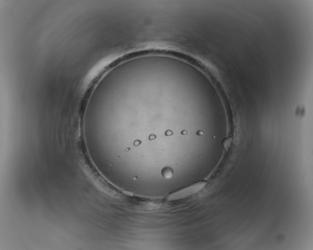 X0000115631271200911101429