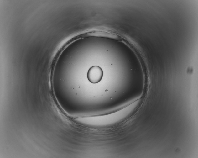 X0000115631272200911101429