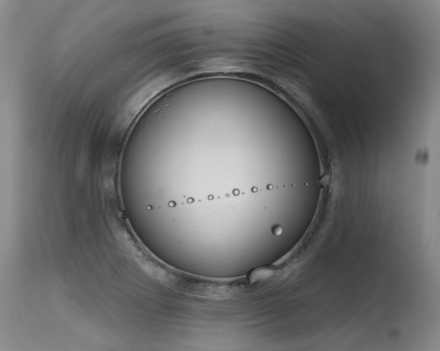 X0000115631273200911101429