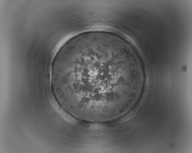 X0000115631275200911101429