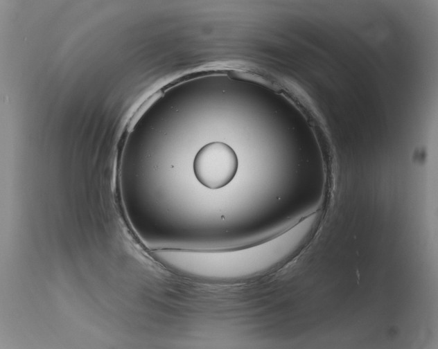 X0000115631276200911101429