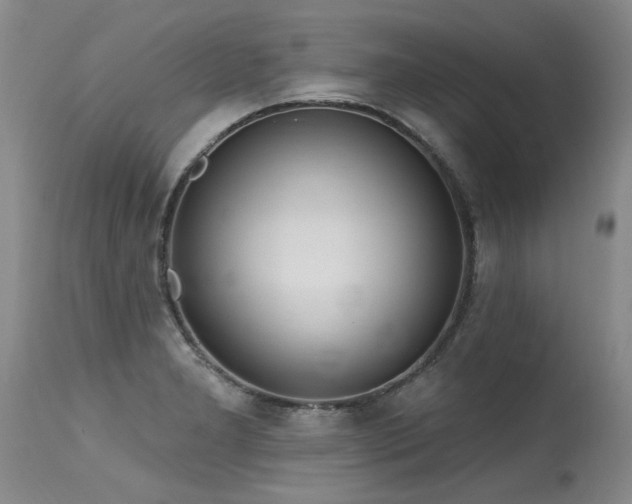 X0000115631277200911101429